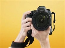 北京寵物攝影網站設計 創意與專業的完美融合